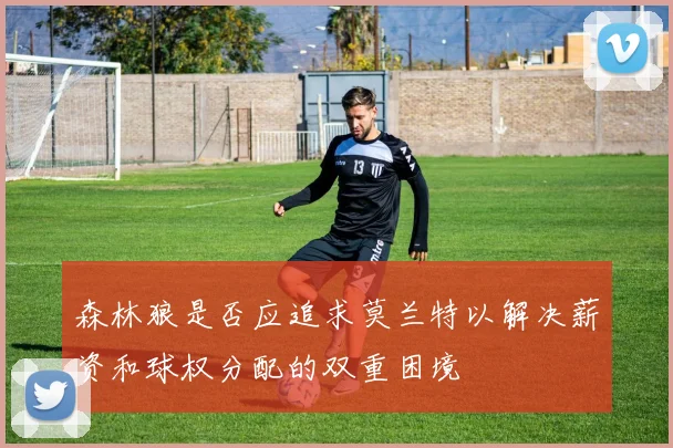 森林狼是否应追求莫兰特以解决薪资和球权分配的双重困境